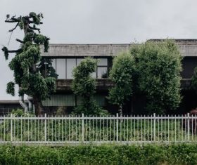 city greening Stock Photo 01