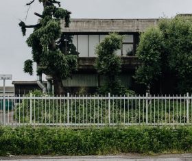 city greening Stock Photo 05