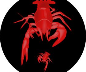 lobster design illustration vectors
