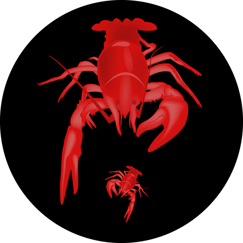 lobster design illustration vectors