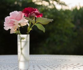 Art flower arrangement Stock Photo 01