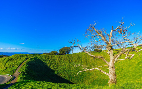 Auckland New Zealand Mount Eden Landscapes Stock Photo 01