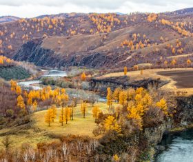 Autumn grassland natural scenery Stock Photo 01
