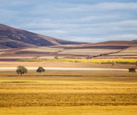 Autumn grassland natural scenery Stock Photo 02