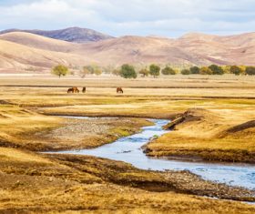 Autumn grassland natural scenery Stock Photo 03