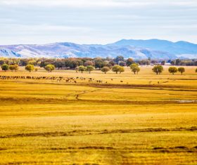 Autumn grassland natural scenery Stock Photo 04