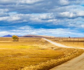 Autumn grassland natural scenery Stock Photo 08