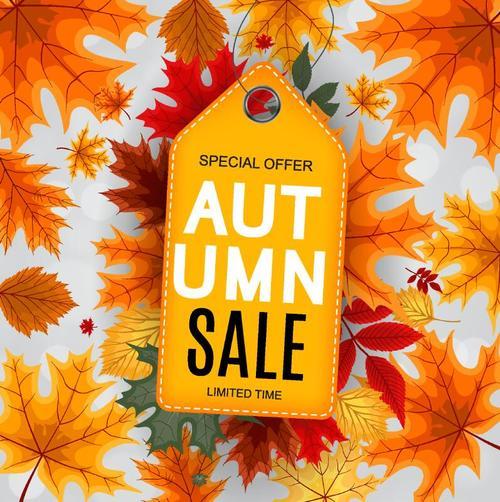 Autumn sale tag with autumn background vector