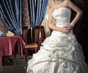 Beautiful charming bride in wedding luxurious dress Stock Photo 04
