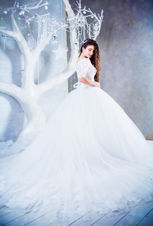 Beautiful charming bride in wedding luxurious dress Stock Photo 11