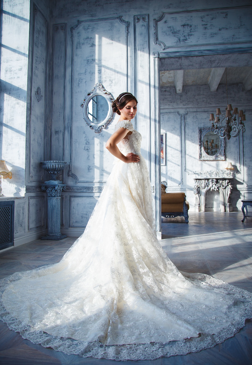 Beautiful charming bride in wedding luxurious dress Stock Photo 12