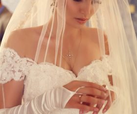 Beautiful charming bride in wedding luxurious dress Stock Photo 15