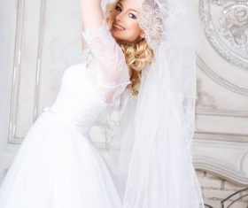 Beautiful charming bride in wedding luxurious dress Stock Photo 17