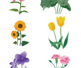 Beautiful flowers vector