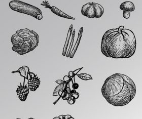 Black and white sketch vegetable vector