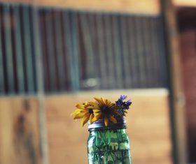 Bright flowers in glass bottle close-up Stock Photo