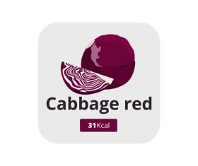 Cabbage red vector icon