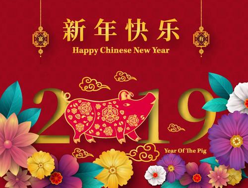 Chinese styles pig year 2019 vector design 02