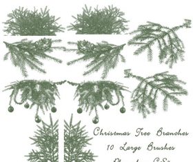 Christmas Tree Branch Photoshop Brushes