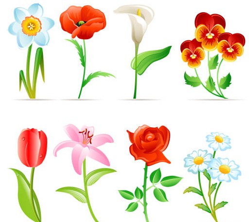 Colored Flowers vector graphic