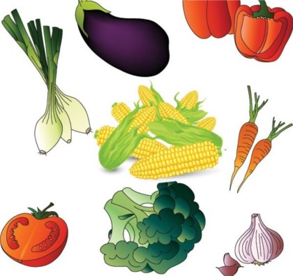 Colored vegetables free design vectors