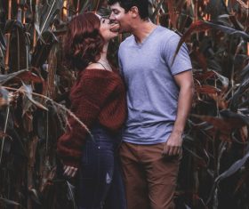 Couple taking photos in corn field Stock Photo