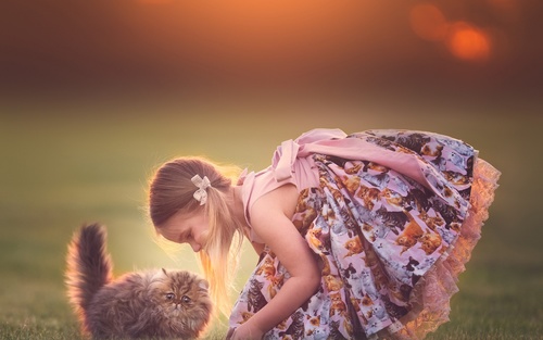 Cute little girl playing with cat Stock Photo