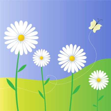 Daisy Flowers vector graphic
