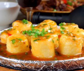 Delicious braised Japanese tofu Stock Photo 01
