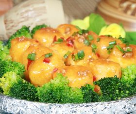 Delicious braised Japanese tofu Stock Photo 04