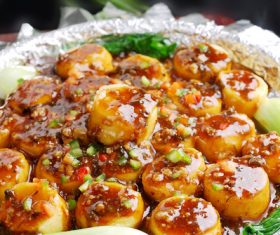 Delicious braised Japanese tofu Stock Photo 08