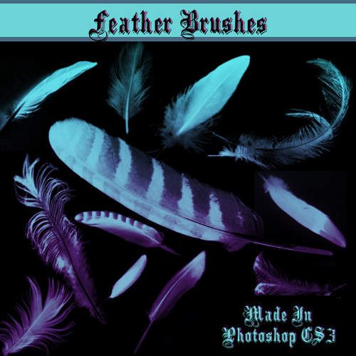Different Feather Photoshop Brushes