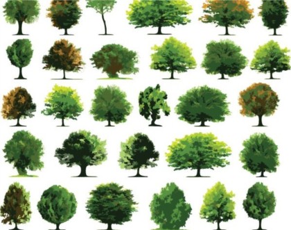 Different trees vector design