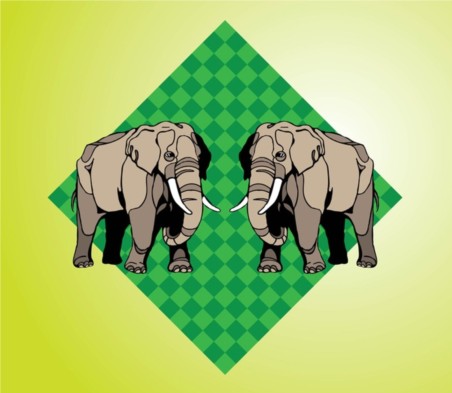 Elephants design vectors graphics