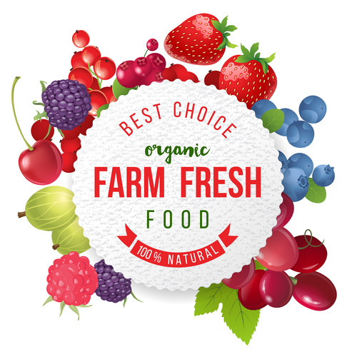 Farm fresh food backgrounds vectors 02