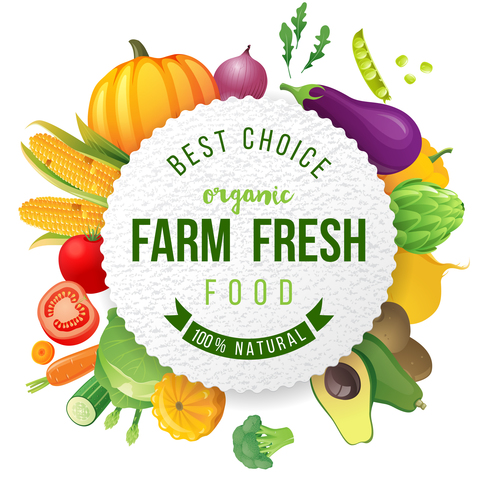 Farm fresh food backgrounds vectors 03