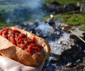 Fast food hot dog Stock Photo 01