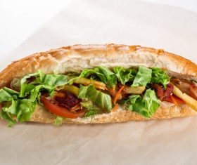 Fast food hot dog Stock Photo 04