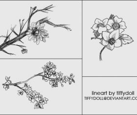 Flower outlines Photoshop Brushes