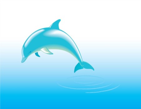 Free Dolphin vectors material