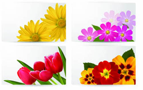 Fresh Flowers Cards vector