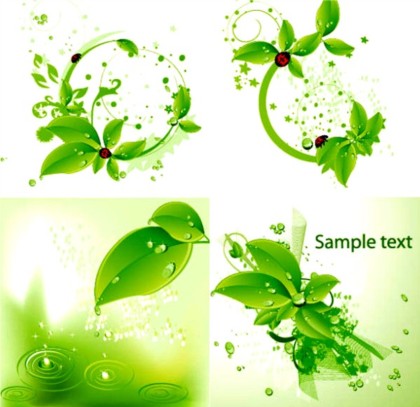 Fresh green leaves and ladybirds background vector