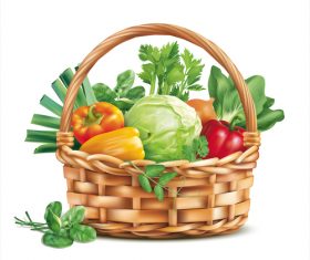 Fresh vegetable with basket vector illustration