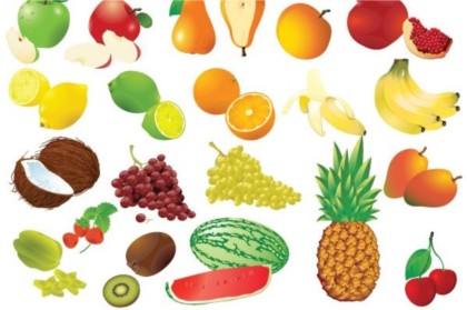 Fruit and fruit frames vector