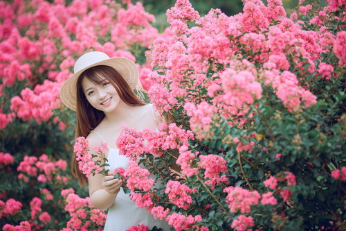 Girl taking pictures with beautiful flowers Stock Photo