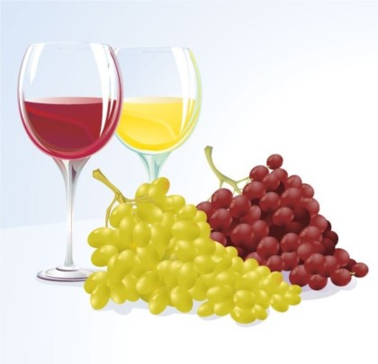 Grape and wine set vector
