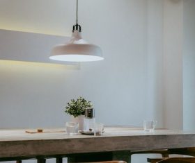 Green plant close-up under chandelier Stock Photo