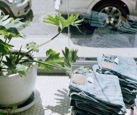 Green plants and stacking good pair of jeans Stock Photo