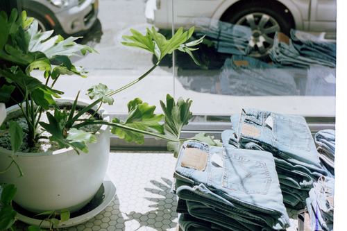 Green plants and stacking good pair of jeans Stock Photo