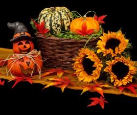 Halloween funny pumpkin lights Stock Photo 04